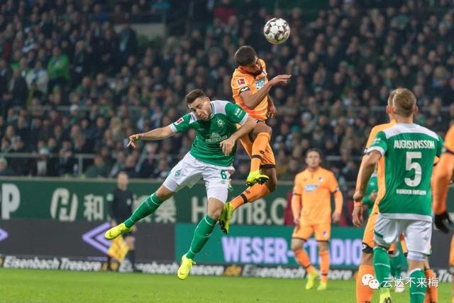  霍芬海姆主场憾负沃尔夫斯堡错失良机  